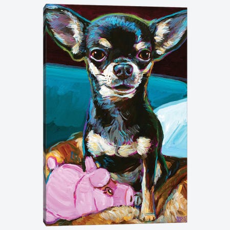 Bibbi The Toy Chihuahua Canvas Print #RPH271} by Robert Phelps Canvas Print