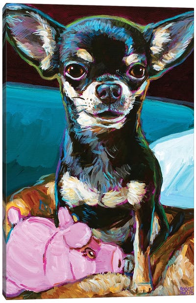 Bibbi The Toy Chihuahua Canvas Art Print - Robert Phelps