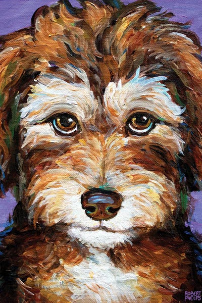 Desi The Aussiedoodle Pup by Robert Phelps framed canvas print