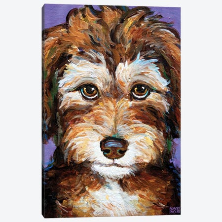 Desi The Aussiedoodle Pup Canvas Print #RPH274} by Robert Phelps Canvas Art