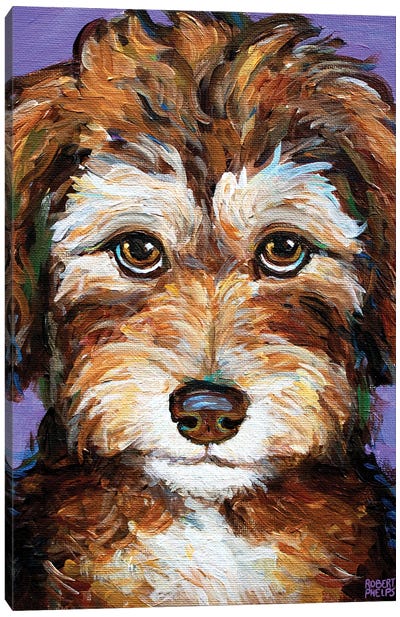 Desi The Aussiedoodle Pup Canvas Art Print - Puppy Art