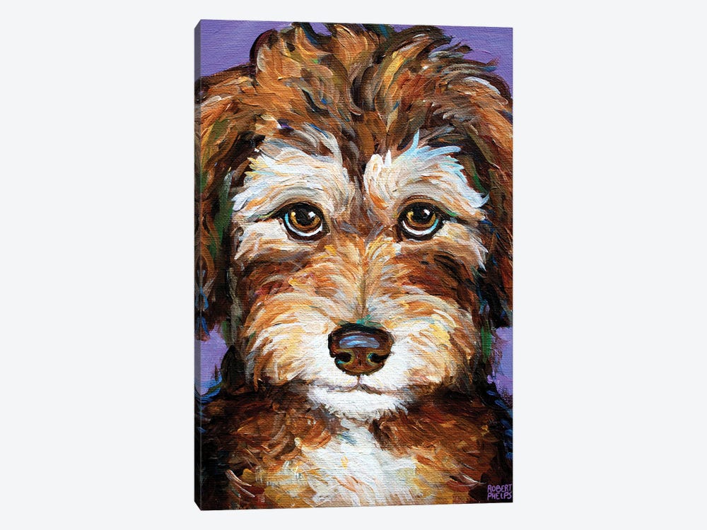 Desi The Aussiedoodle Pup by Robert Phelps 1-piece Canvas Wall Art