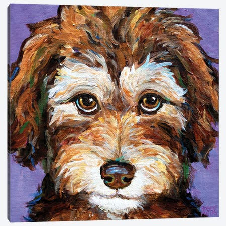 Desi The Aussiedoodle Pup II Canvas Print #RPH275} by Robert Phelps Canvas Artwork