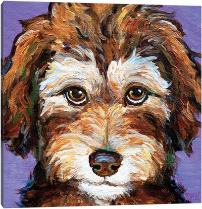 Desi The Aussiedoodle Pup II Canvas Art Print - Puppy Art