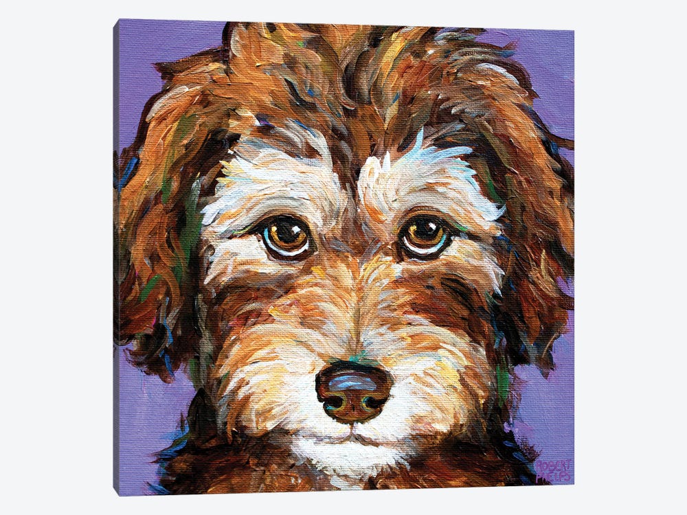 Desi The Aussiedoodle Pup II by Robert Phelps 1-piece Art Print