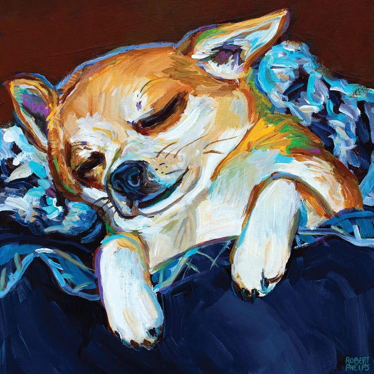 Sleepy Viktor I by Robert Phelps wall art
