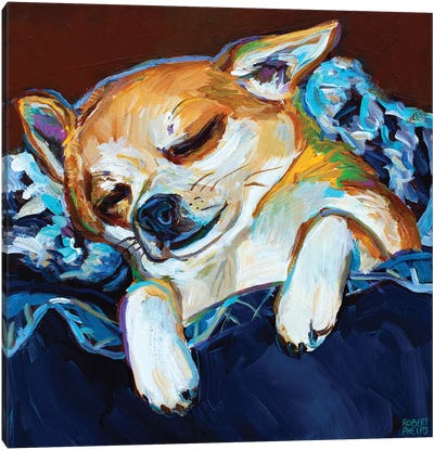 Sleepy Viktor I Canvas Art Print - Chihuahua Art
