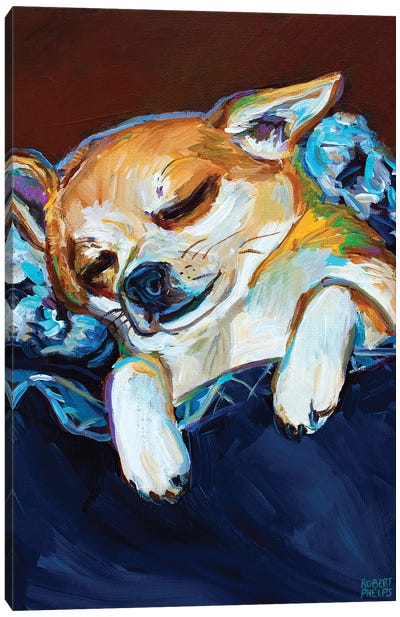 Sleepy Viktor II Canvas Art Print - Chihuahua Art