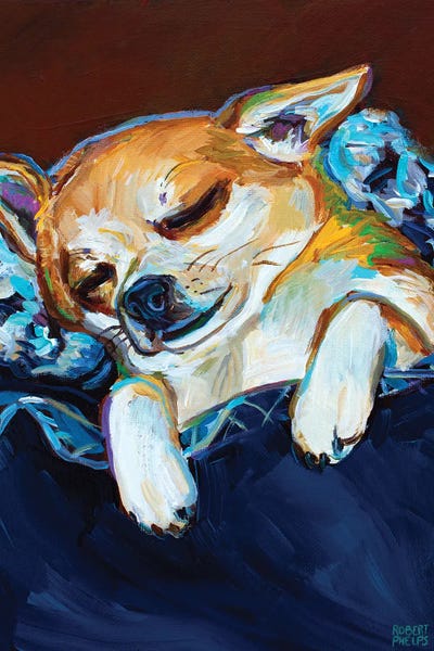 Chihuahuas: Sleepy Viktor II by Robert Phelps