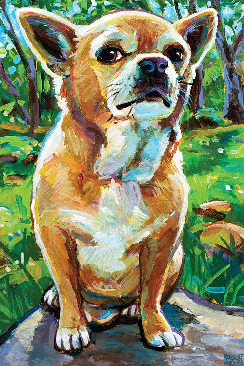 King Of The Mountain by Robert Phelps wall art