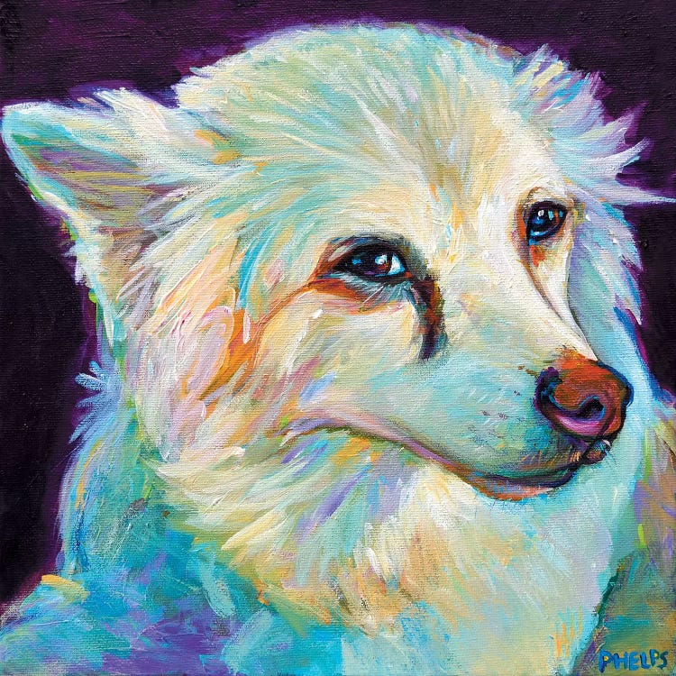 Eskimo Spitz by Robert Phelps wall art