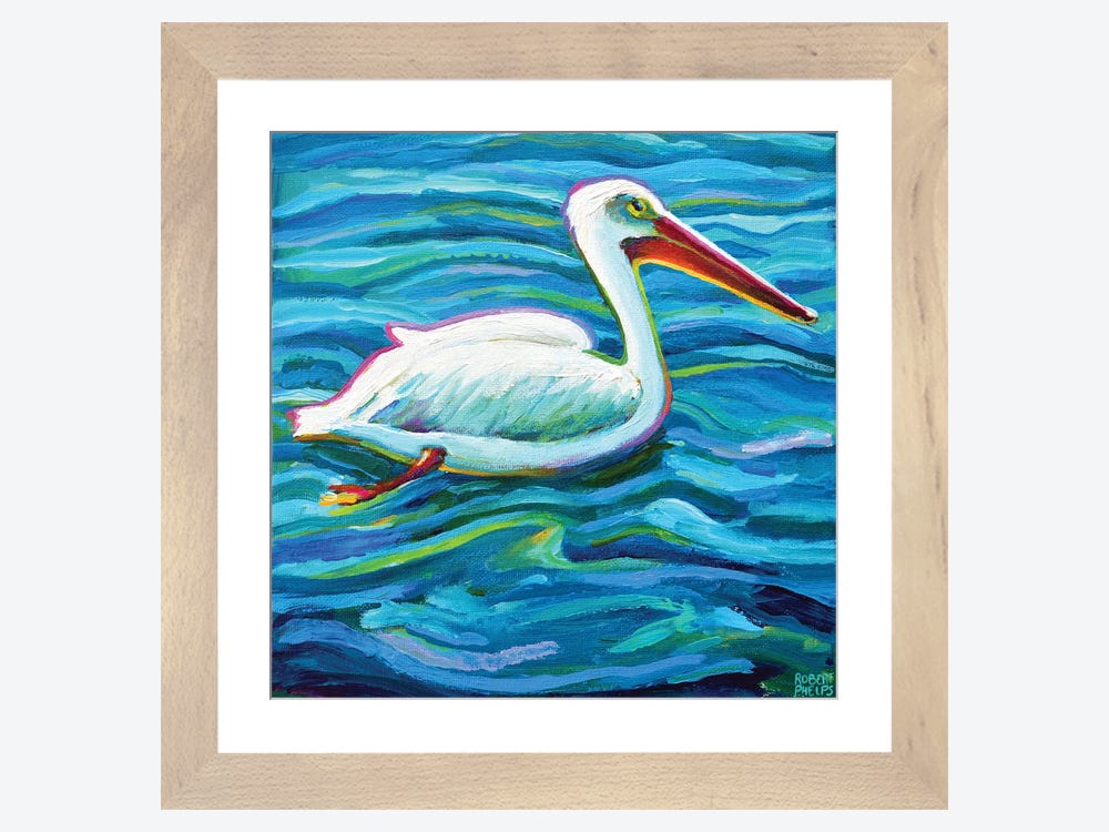 Swimming White Pelican II Canvas Wall Art by Robert Phelps
