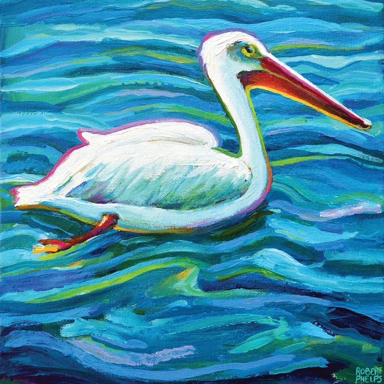 Swimming White Pelican II