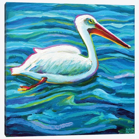Swimming White Pelican II Canvas Print #RPH283} by Robert Phelps Canvas Artwork