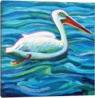 Swimming White Pelican II Canvas Art Print - Robert Phelps