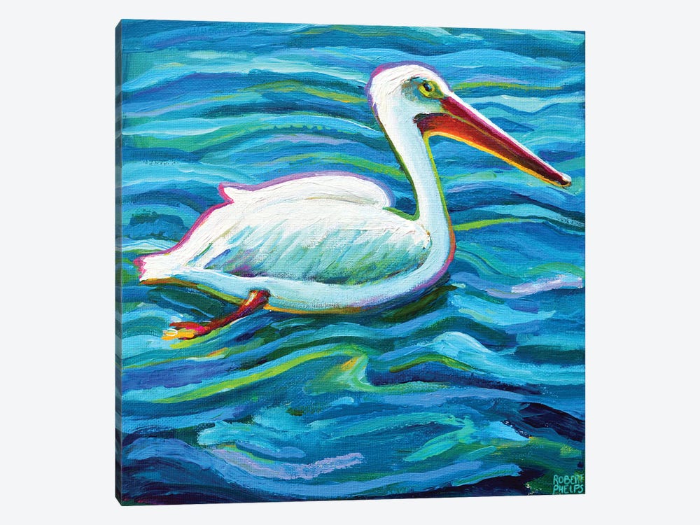 Swimming White Pelican II by Robert Phelps 1-piece Canvas Wall Art
