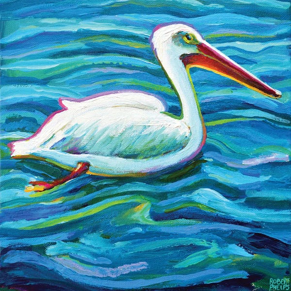Pelicans: Swimming White Pelican II by Robert Phelps