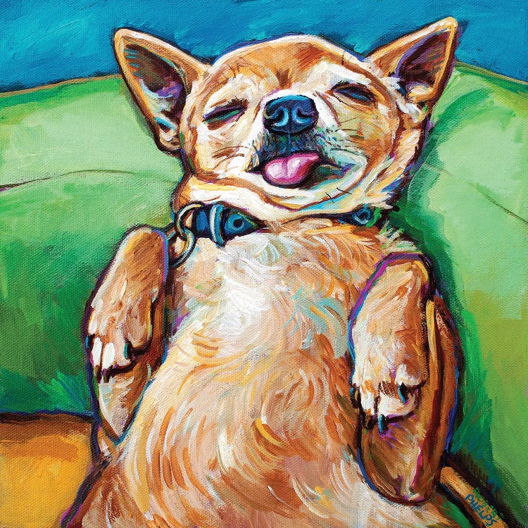 Sleepy Chihuahua by Robert Phelps wall art