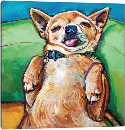 Sleepy Chihuahua Canvas Art Print - Chihuahua Art