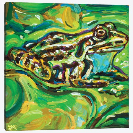 Green Bullfrog Canvas Print #RPH285} by Robert Phelps Canvas Print