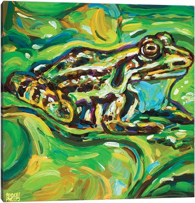 Green Bullfrog Canvas Art Print - Frog Art