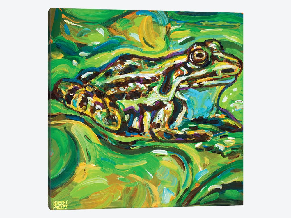 Green Bullfrog by Robert Phelps 1-piece Canvas Art