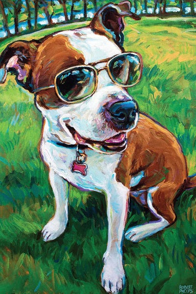 Pit Bulls: Summer Fun by Robert Phelps