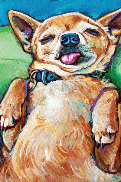 Chihuahuas: Sleepy Chihuahua II by Robert Phelps