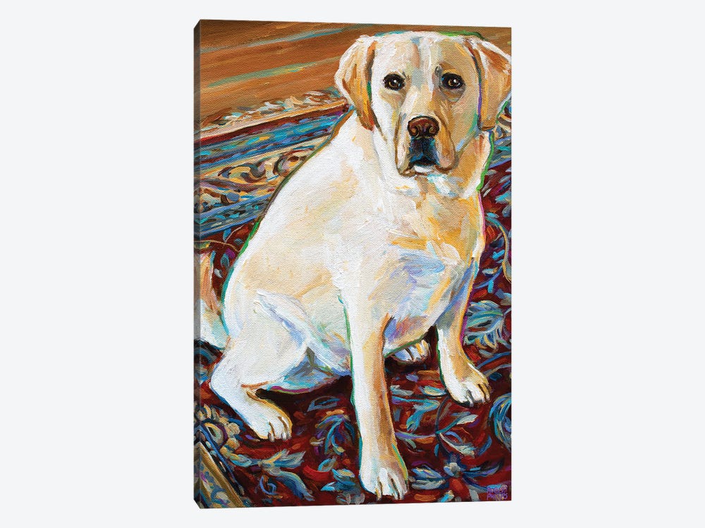 Tenny The Blond Labrador by Robert Phelps 1-piece Canvas Print