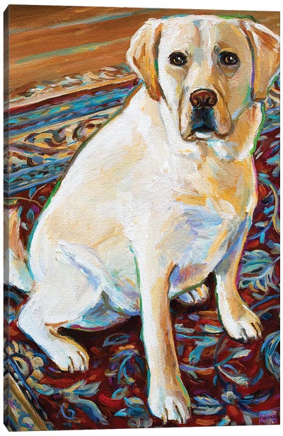 Tenny The Blond Labrador Canvas Art Print - Robert Phelps
