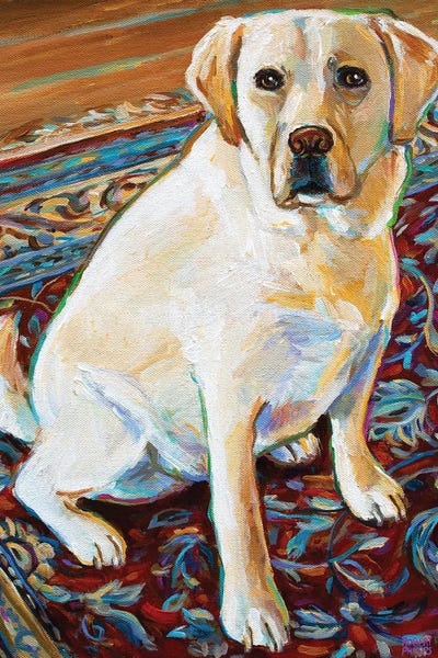 Robert Phelps: Tenny The Blond Labrador by Robert Phelps