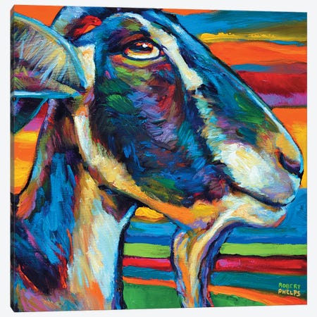 Farm Goat Canvas Print #RPH28} by Robert Phelps Canvas Artwork