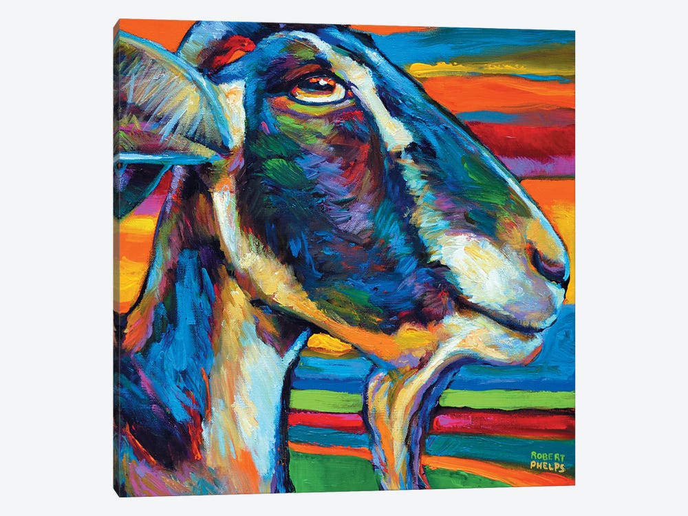 Farm Goat by Robert Phelps 1-piece Canvas Wall Art