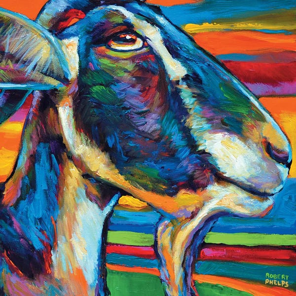 Robert Phelps: Farm Goat by Robert Phelps