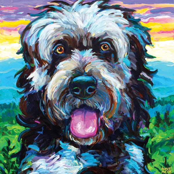 Robert Phelps: Mountain New Fiepoo I by Robert Phelps