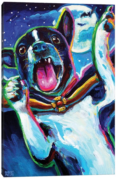 Vampire Puppy I Canvas Art Print - Robert Phelps
