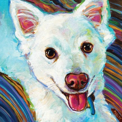 Cozy Eskie by Robert Phelps canvas print