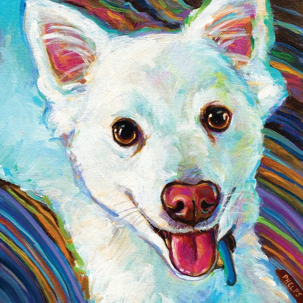 Puppies: Cozy Eskie by Robert Phelps