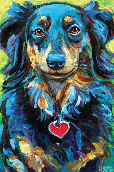 Dachshunds: Ruby by Robert Phelps