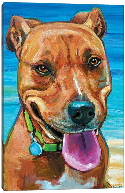 Beach Dog Canvas Art Print - American Pit Bull Terriers