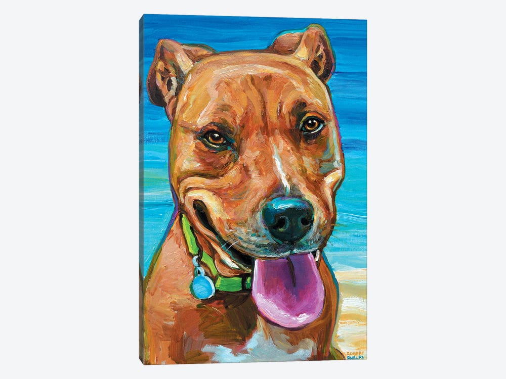 Beach Dog by Robert Phelps 1-piece Canvas Art