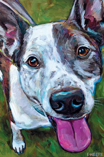 Bella by Robert Phelps framed canvas print