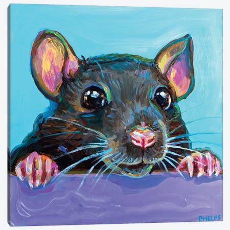 Cute Rat Canvas Print #RPH301} by Robert Phelps Canvas Print