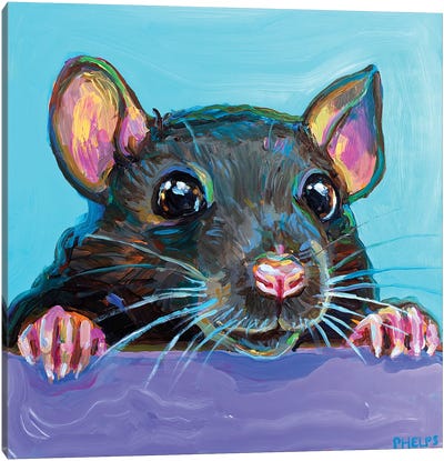 Cute Rat Canvas Art Print - Rodent Art
