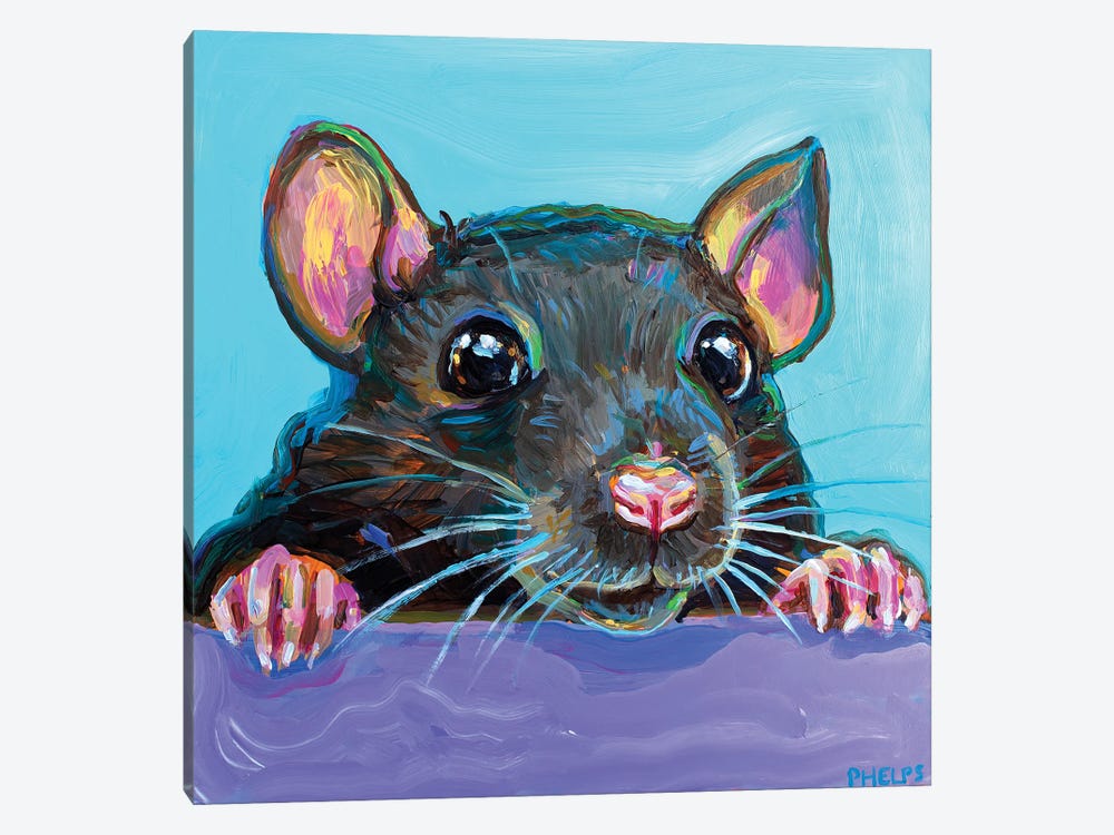 Cute Rat by Robert Phelps 1-piece Canvas Art Print