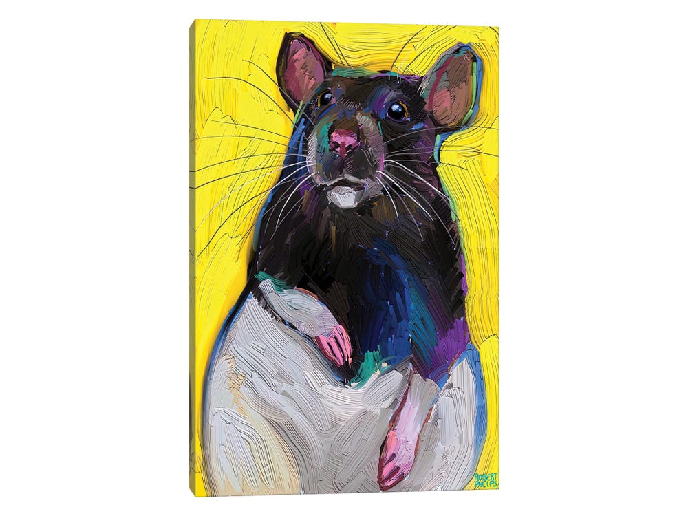 Cute Rat On Yellow Canvas Wall Art by Robert Phelps | iCanvas