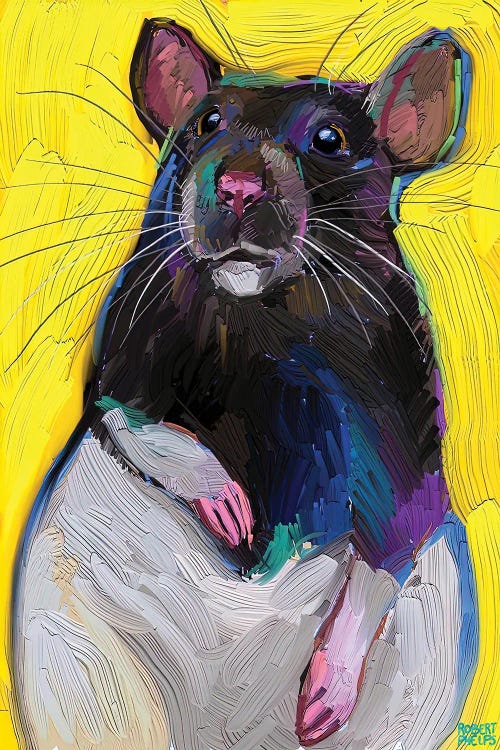 Cute Rat On Yellow by Robert Phelps wall art