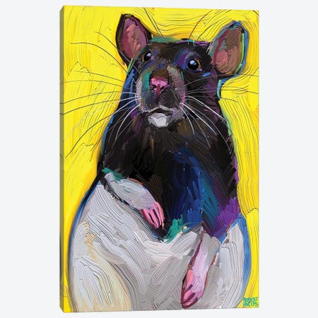 Cute Rat On Yellow Canvas Print #RPH302} by Robert Phelps Art Print