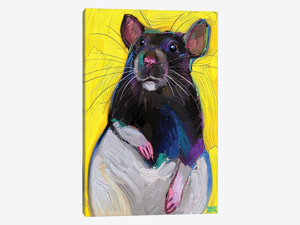 Cute Rat On Yellow by Robert Phelps 1-piece Canvas Wall Art
