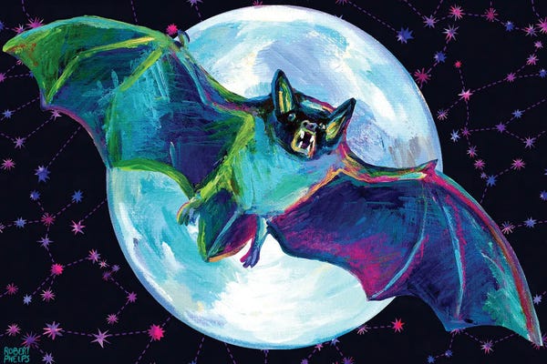 Bats: Vampire Bat by Robert Phelps